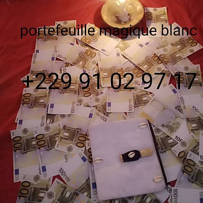 portefeuille magique en euros